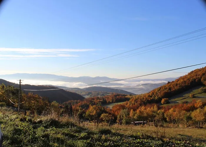 Willa W Chmurach Kicznia